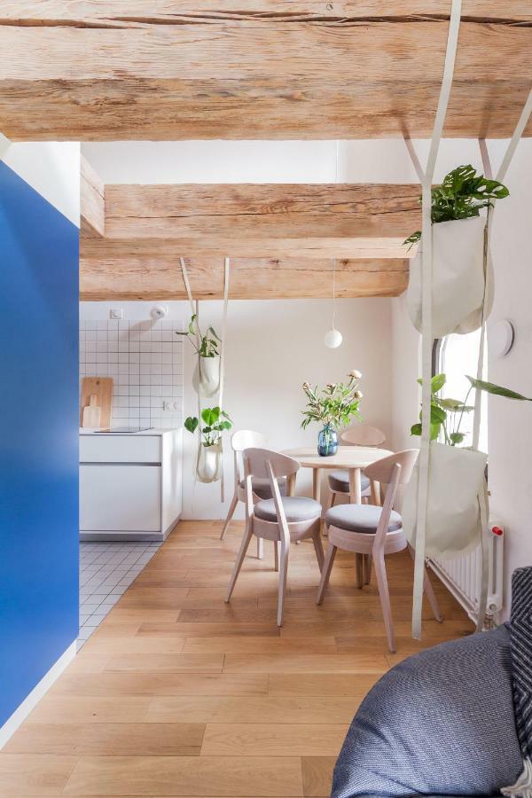 Apartamenty Monka Stary Toruń Εξωτερικό φωτογραφία